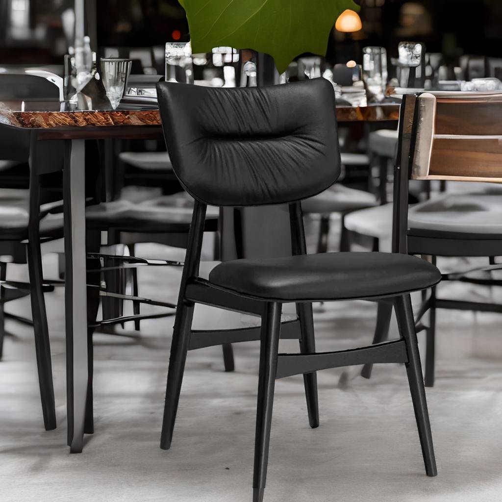 Modern black finish chair - Cafe Furniture at Apkainterior